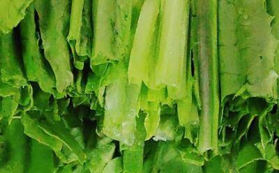 油麦菜怎么做好吃又简单的做法(油麦菜怎么做好吃)