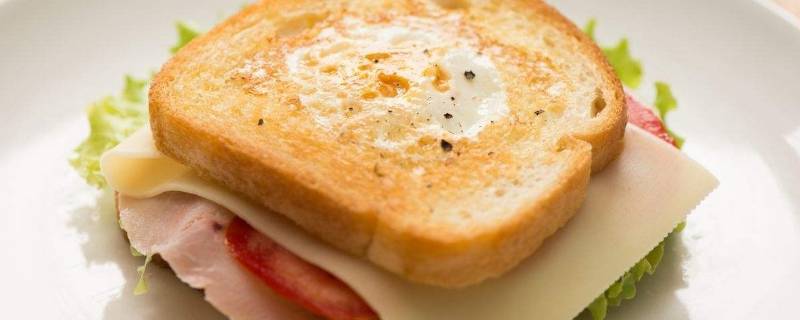 做三明治的机器能煎鸡蛋吗(三明治机煎鸡蛋几分钟)