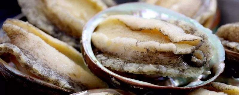 生鲍鱼死了怎么保存(鲜鲍鱼死了怎么保存)