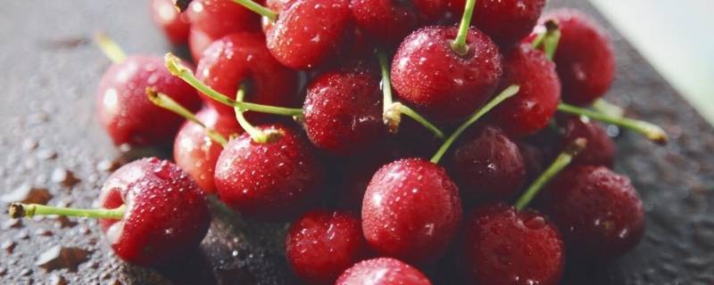 吃过樱桃间隔多久能吃虾(虾子和樱桃要间隔多长时间吃)