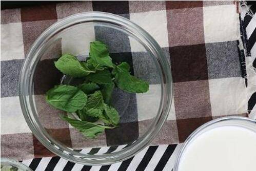 家用薄荷奶绿制作方法(薄荷奶绿做法自制)