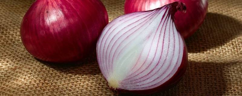 吃洋葱后可以喝蜂蜜水吗(吃洋葱后可以喝蜂蜜吗)