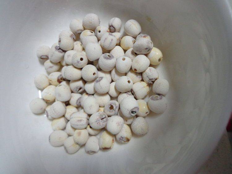 新鲜莲子米怎么做才好吃又营养(新鲜的莲子做什么才好吃)
