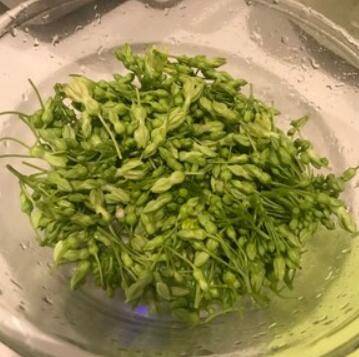 夜香花怎么做好吃(夜香花怎么做法)