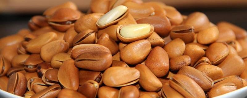 松子生的可以吃吗(松子生的可以吃不)