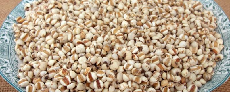 薏仁水怎么做自制面膜(薏仁水怎么做有效果)