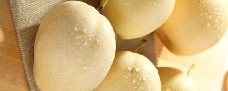 下午四点吃梨会胖吗(九点之后吃梨会胖吗)