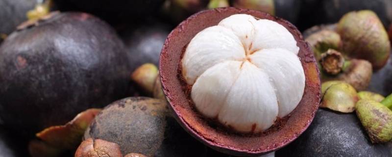 吃山竹有哪些好处(吃山竹有什么好处呀)