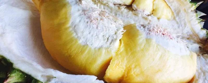 榴莲吃不完怎么保存视频(榴莲吃多了有什么危害)