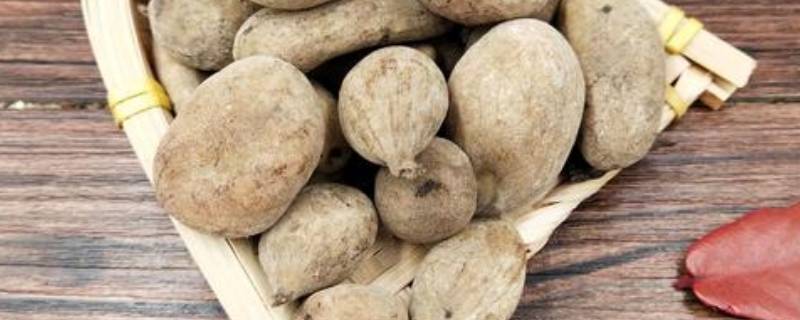 五贝子染发剂安全吗(五贝子天然植物染发剂)