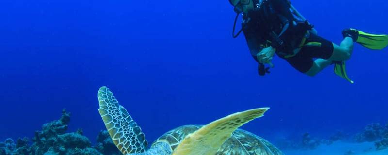 用潜水的原有含义和新的含义造句(潜水原来的含义和新含义是什么)