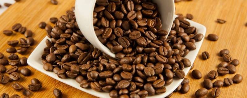 咖啡豆磨成粉后能存放多久(咖啡豆磨成粉后能用开水冲泡吗)