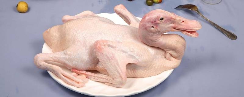 白条鸭和普通鸭的区别(白条鸭和田鸭有什么不同)