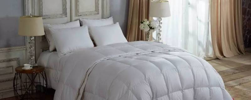 浙江鸭绒被网上价格(什么叫生态羽绒被)