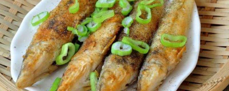 沙丁鱼怎么做好吃的视频(沙丁鱼怎么做好吃不油炸)