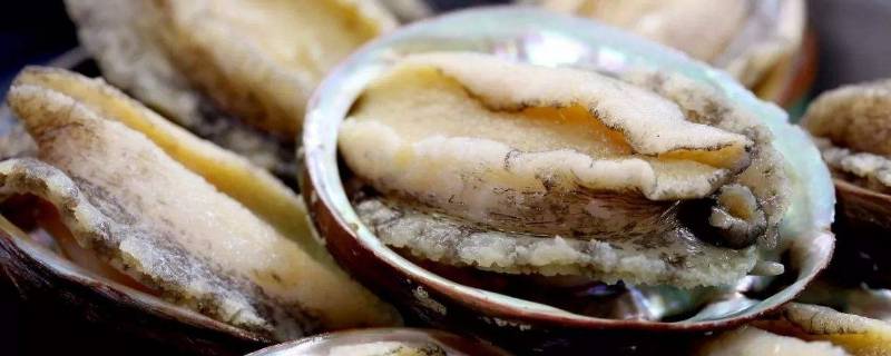 鲍鱼发绿了还能吃吗(鲍鱼绿的能吃吗)