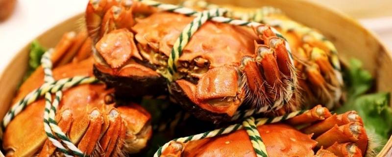 螃蟹需要放在水里养吗(水养螃蟹直接放水里吗)