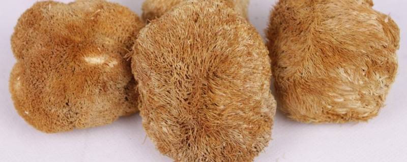 猴头菇怎么泡发不会变软(猴头菇泡12小时以上还能吃吗)