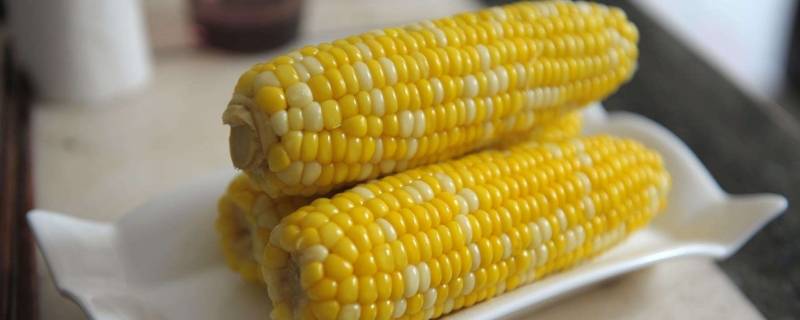 煮熟的玉米能放多久(煮熟的玉米可以存放多久)