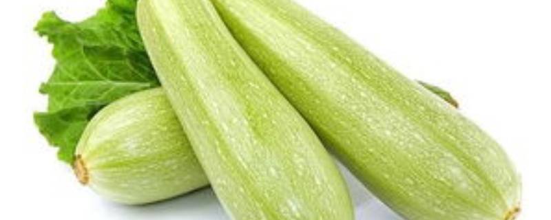 小瓜怎么炒熟(小瓜怎么炒好吃)