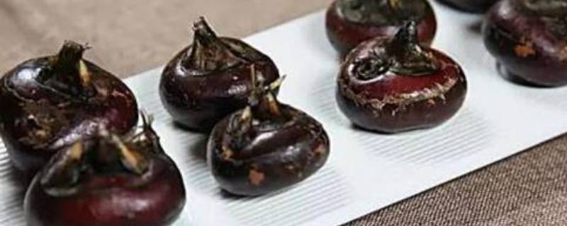 荸荠含糖(荸荠怎么这么甜)