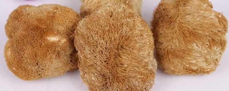 猴头菇怎么做不苦(猴头菇怎么做)