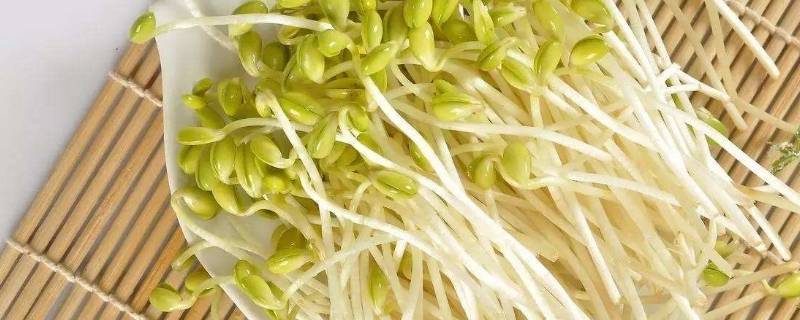 生绿豆芽用开水烫多久(发绿豆芽用开水烫多久)