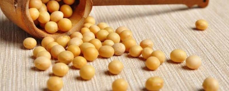 干酱豆子怎么炒最好吃(煎豆腐怎么炒的好吃)