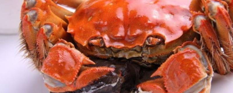 熟螃蟹冷冻后放冰箱保鲜多久(熟螃蟹冷冻后解冻需要多久)