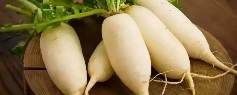切开的白萝卜放冰箱能保存多久(白萝卜去皮后可以放冰箱保存吗)