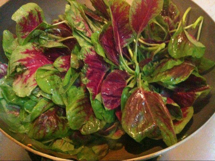 汗菜怎样做的好吃窍门(凉拌人汗菜怎么做好吃)