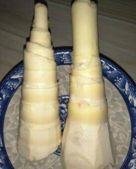 鲜笋酸菜汤的做法(腊肉鲜笋汤的做法)