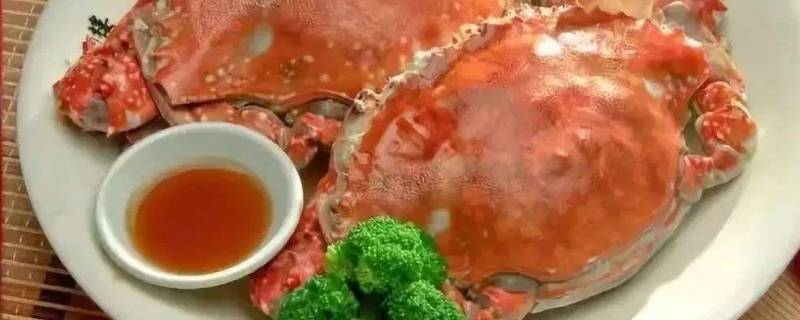 梭子蟹什么不可以吃(梭子蟹内部哪些能吃哪些不能吃)