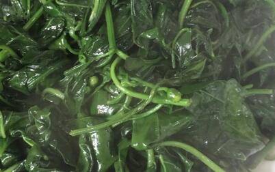 炒辣椒叶怎么做好吃(椒叶怎么做才好吃)