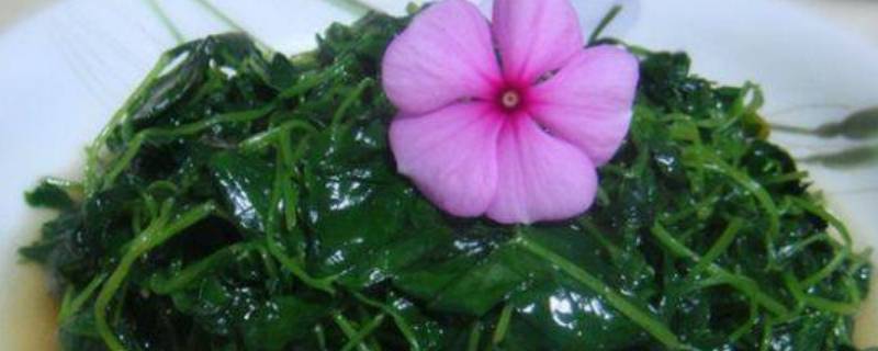 草头怎么炒的嫩(草头怎么炒的嫩又好吃)