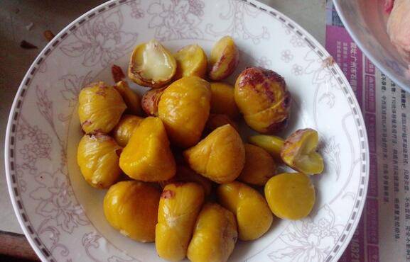 鸽子怎么炖不腥又营养(鸽子怎么烧不腥)