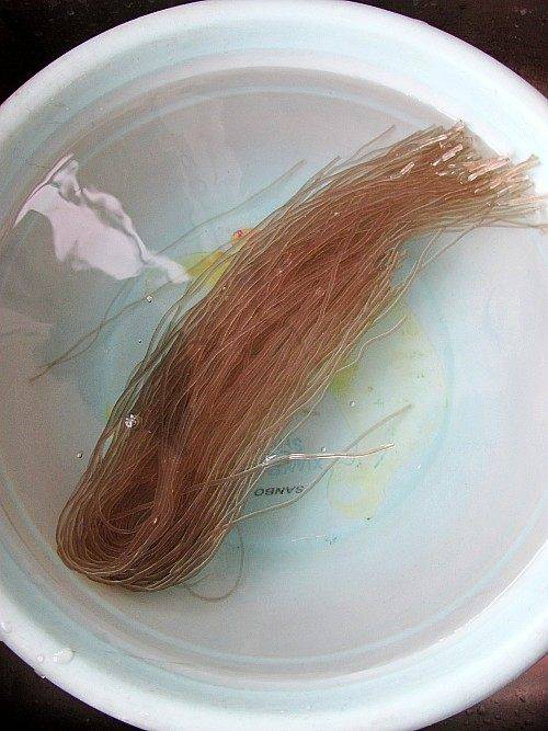 豆芽粉丝怎么炒好吃视频(豆芽粉丝怎么做的)