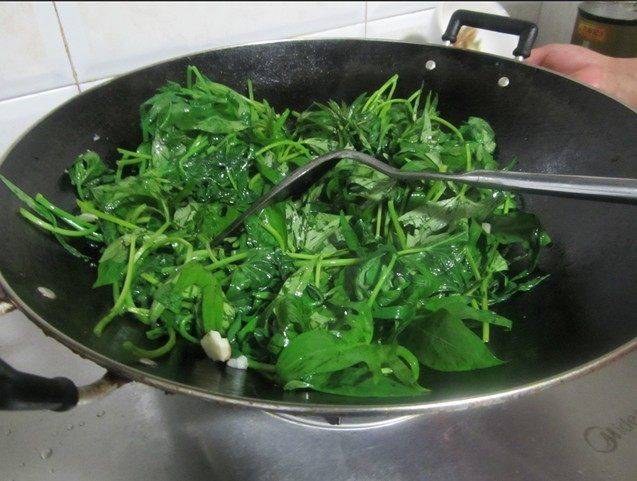 番薯叶怎么炒好吃又绿(番薯叶怎么炒酒店做法)