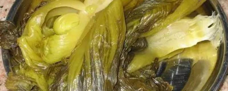 腌菜怎么腌呀(腌菜怎么腌)