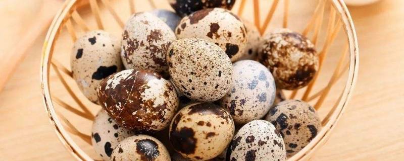 鹌鹑蛋煮多久能熟透(鹌鹑蛋煮多久)
