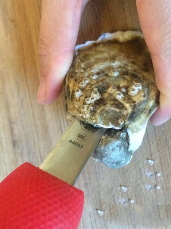 开生蚝最快最简单的方法(开生蚝做法教程)