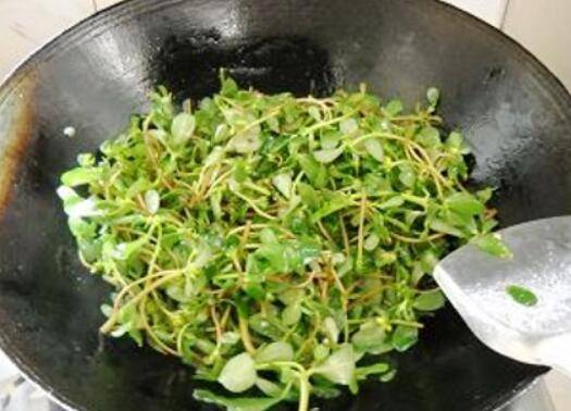 马齿苋汤的做法及配方(马齿苋如何素炒)