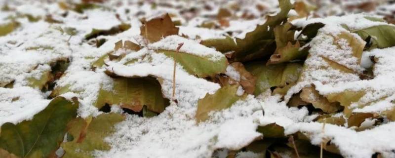寒潮橙色预警是三级寒潮中的第几级(寒潮的三级预警信号分别是)