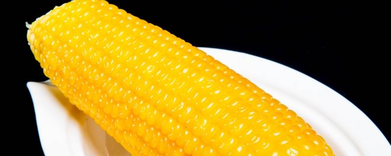 玉米的热量(玉米的热量怎么算)