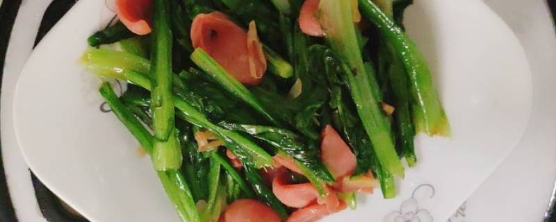 油麦菜怎么做好吃又简单的做法(油麦菜怎么做好吃)