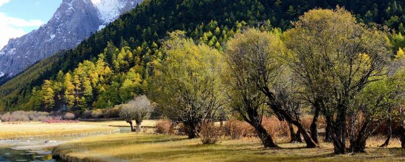 稻城在哪儿中国地图(稻城在哪部电影里提到过)