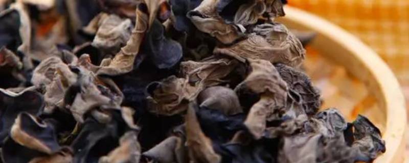 怎样能够快速的泡木耳(怎么快速泡木耳)