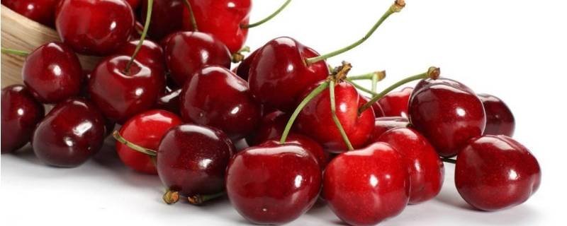 生理期可以吃猕猴桃吗(生理期可以吃樱桃吗)