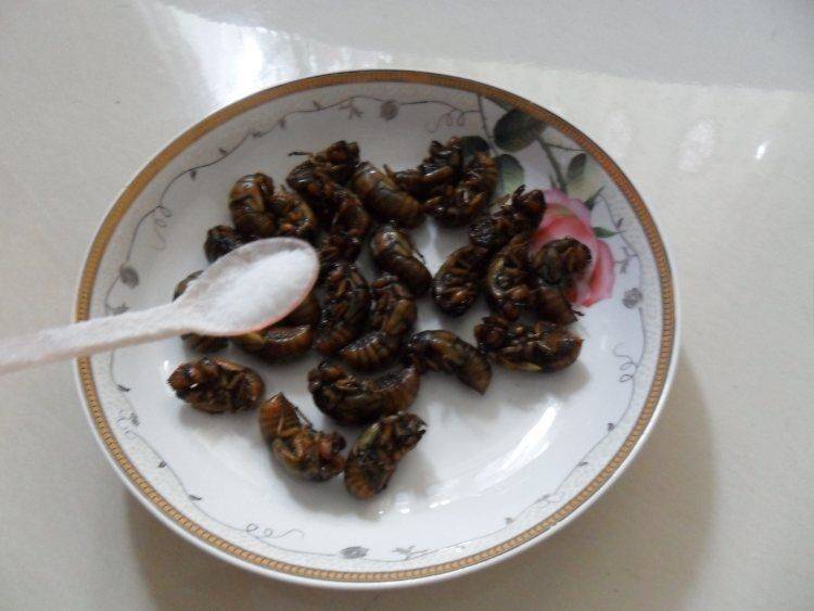 炸知了猴的做法(知了猴除了油炸还能怎么吃)