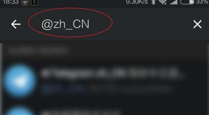 iPhone注册纸飞机?